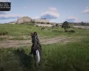 Red Dead Redemption 2