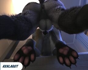 Furry Hard Fuck with Huge Dick Until Cum